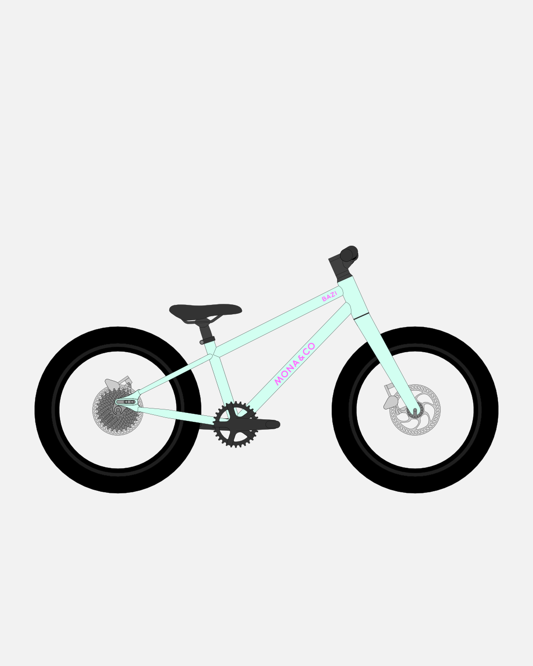 BAZI 1 Kinder-Mountainbike, 18 Zoll, Rahmen mint, Reifen Schwalbe Smart Sam schwarz, Illustration