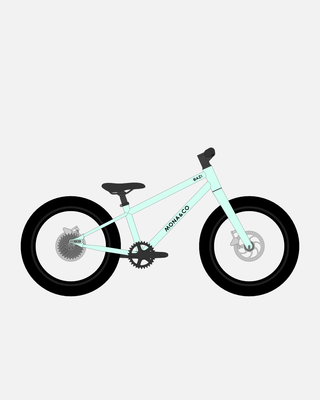 BAZI 1 Kinder-Mountainbike, 18 Zoll, Rahmen mint, Reifen Schwalbe Smart Sam schwarz, Illustration