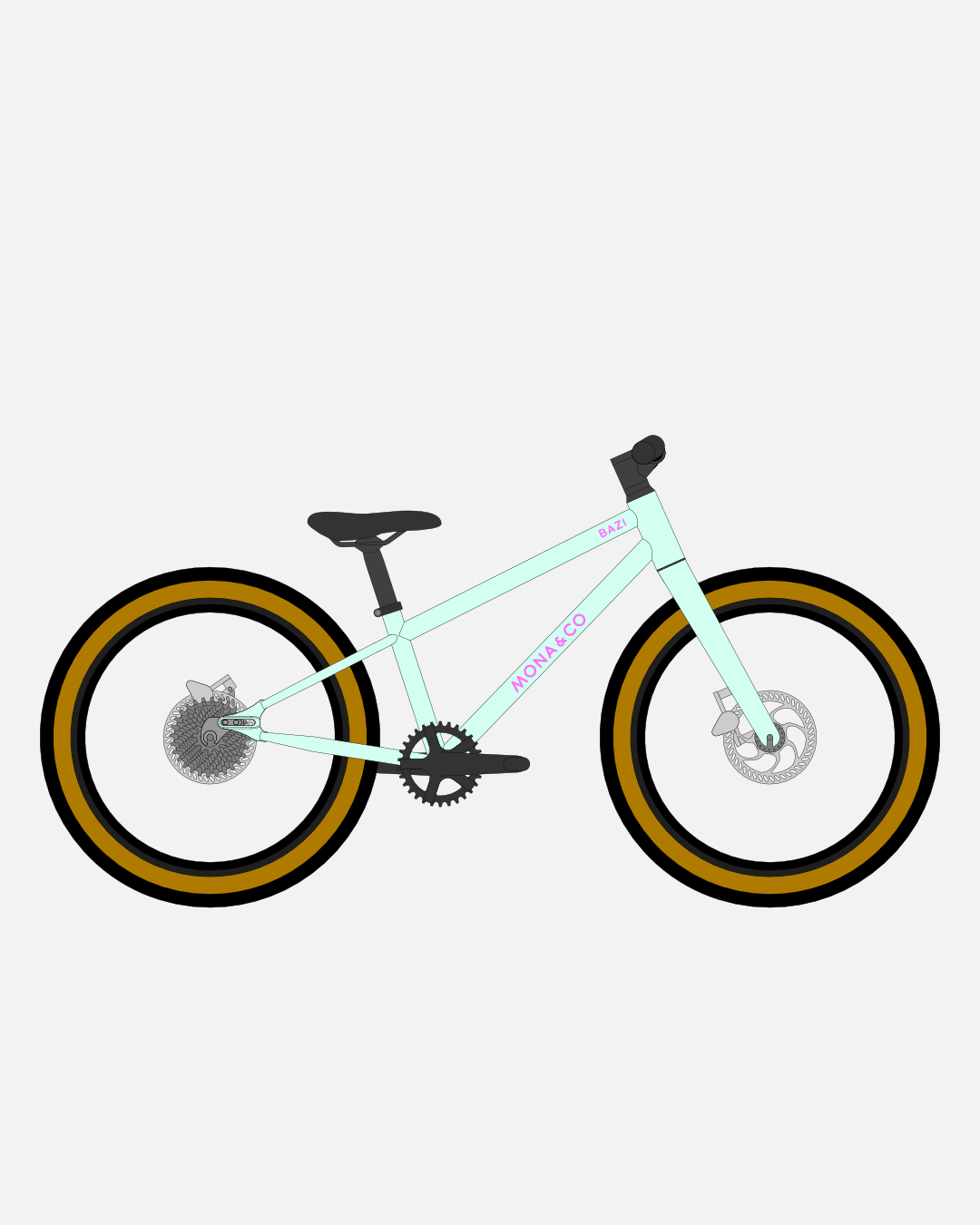 BAZI 1 Kinder-Mountainbike, 20 Zoll, Rahmen mint, Reifen Schwalbe Billy Bonkers schwarz-bronze, Illustration