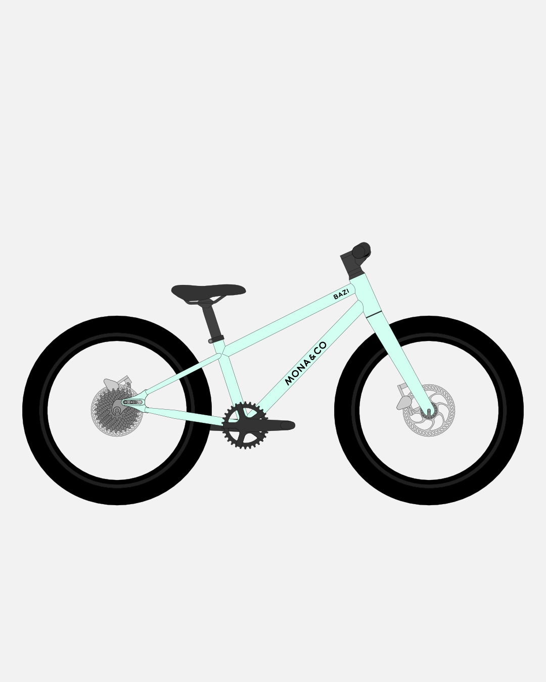 BAZI 1 Kinder-Mountainbike, 20 Zoll, Rahmen mint, Reifen Schwalbe Smart Sam schwarz, Illustration
