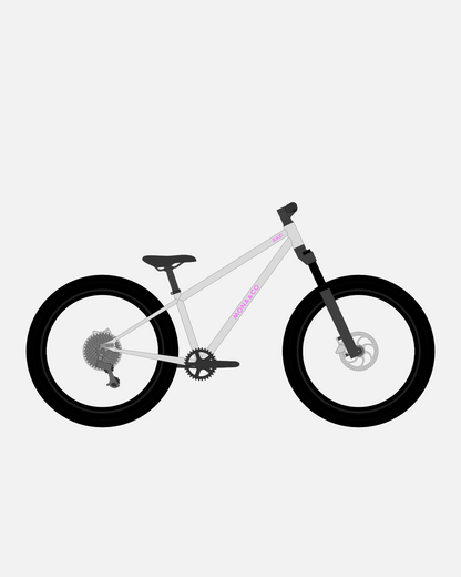 BAZI 2 Kinder-Mountainbike, 24 Zoll, Rahmen grau, Reifen Schwalbe Rocket Ron schwarz, Illustration