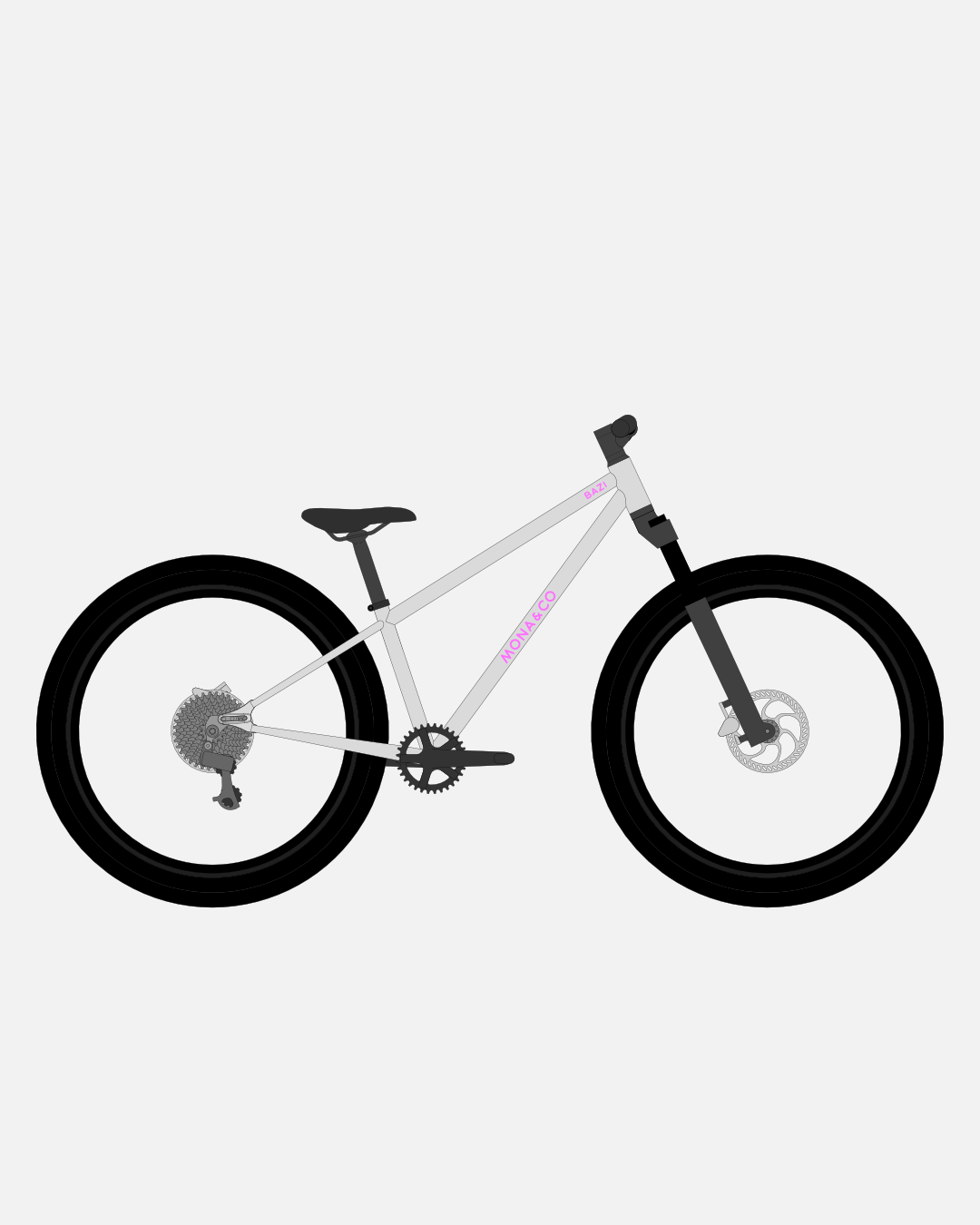 BAZI 2 Kinder-Mountainbike, 26 Zoll, Rahmen grau, Reifen Schwalbe Rocket Ron schwarz, Illustration